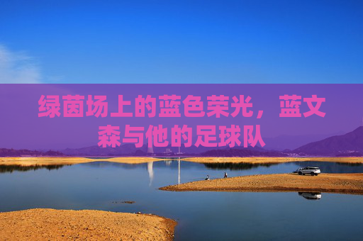 绿茵场上的蓝色荣光,蓝文森与他的足球队