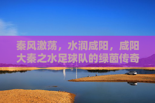 秦风激荡,水润咸阳,咸阳大秦之水足球队的绿茵传奇