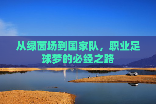 从绿茵场到国家队,职业足球梦的必经之路