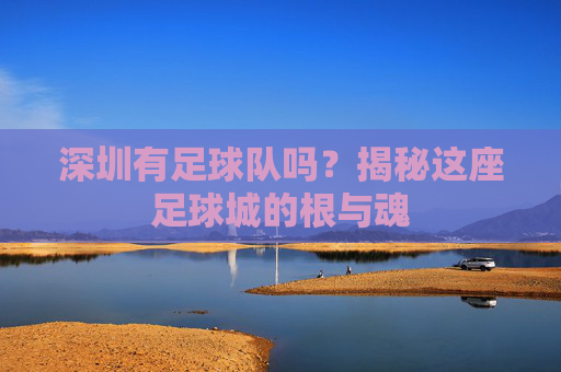 深圳有足球队吗?揭秘这座足球城的根与魂