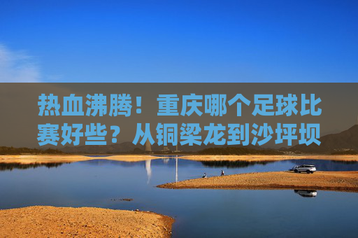 热血沸腾!重庆哪个足球比赛好些?从铜梁龙到沙坪坝夜场,这份观赛指南请收好