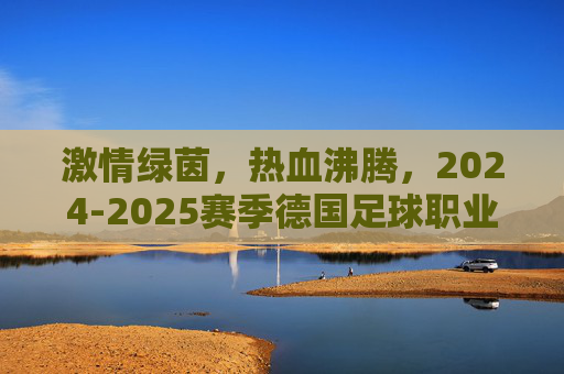激情绿茵,热血沸腾,2024-2025赛季德国足球职业比赛赛程全解析