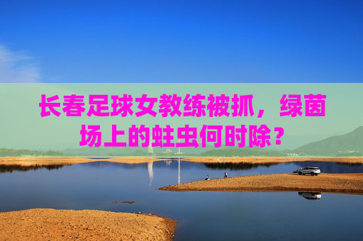 长春足球女教练被抓,绿茵场上的蛀虫何时除?