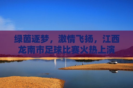 绿茵逐梦,激情飞扬,江西龙南市足球比赛火热上演