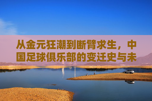 从金元狂潮到断臂求生,中国足球俱乐部的变迁史与未来路