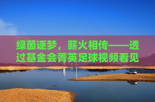 绿茵逐梦,薪火相传——透过基金会菁英足球视频看见成长的力量