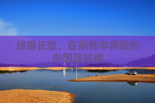 绿茵长歌，在荆棘中奔跑的中国足球魂