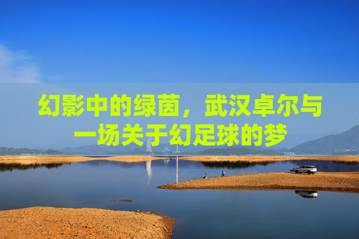 幻影中的绿茵,武汉卓尔与一场关于幻足球的梦