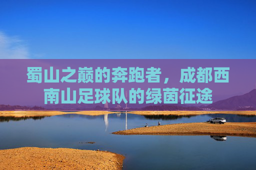 蜀山之巅的奔跑者，成都西南山足球队的绿茵征途