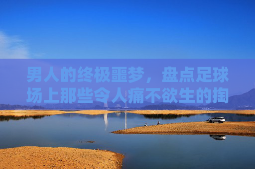 男人的终极噩梦，盘点足球场上那些令人痛不欲生的掏蛋时刻