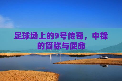 足球场上的9号传奇,中锋的简称与使命