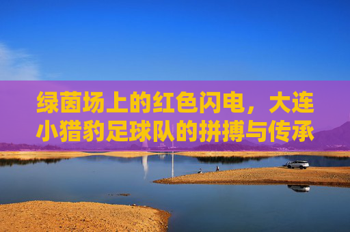 绿茵场上的红色闪电，大连小猎豹足球队的拼搏与传承