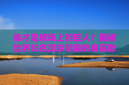 谁才是球场上的巨人?揭秘世界知名足球明星的身高数据