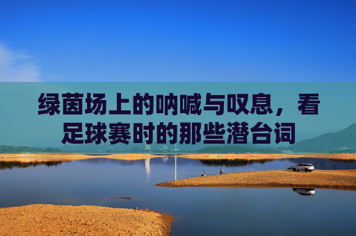 绿茵场上的呐喊与叹息,看足球赛时的那些潜台词