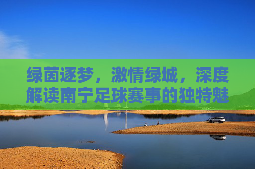 绿茵逐梦,激情绿城,深度解读南宁足球赛事的独特魅力