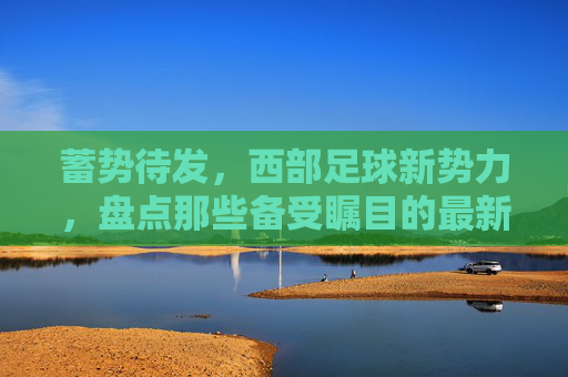 蓄势待发,西部足球新势力,盘点那些备受瞩目的最新足球队员
