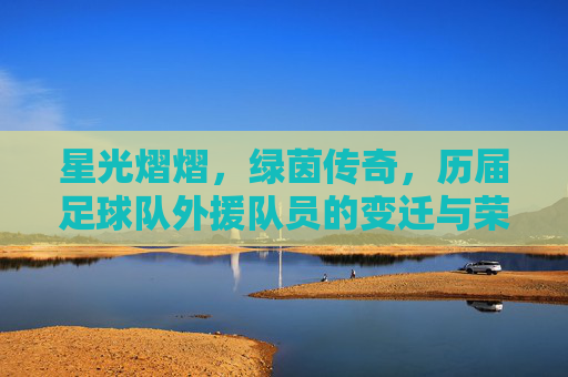 星光熠熠,绿茵传奇,历届足球队外援队员的变迁与荣光