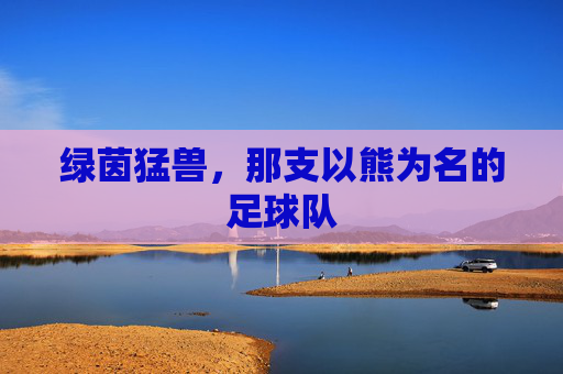 绿茵猛兽,那支以熊为名的足球队