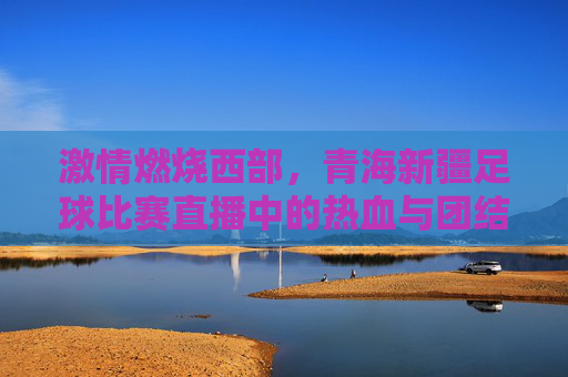 激情燃烧西部,青海新疆足球比赛直播中的热血与团结