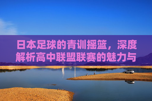 日本足球的青训摇篮,深度解析高中联盟联赛的魅力与价值