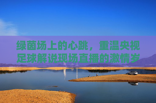 绿茵场上的心跳,重温央视足球解说现场直播的激情岁月