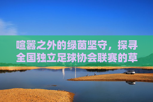 喧嚣之外的绿茵坚守，探寻全国独立足球协会联赛的草根魅力
