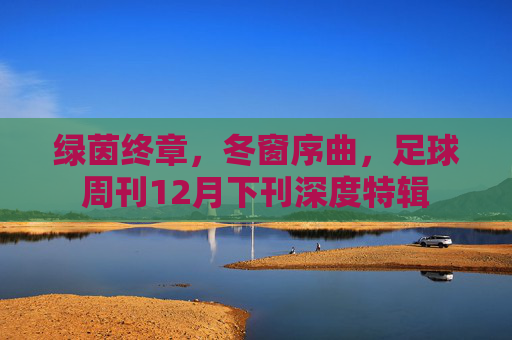 绿茵终章，冬窗序曲，足球周刊12月下刊深度特辑