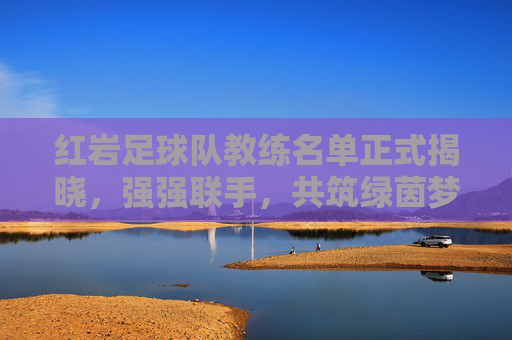红岩足球队教练名单正式揭晓,强强联手,共筑绿茵梦想