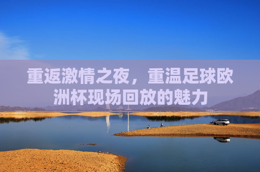重返激情之夜,重温足球欧洲杯现场回放的魅力