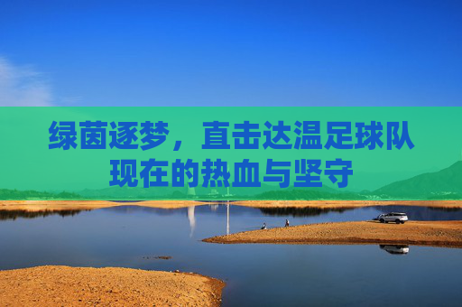 绿茵逐梦,直击达温足球队现在的热血与坚守
