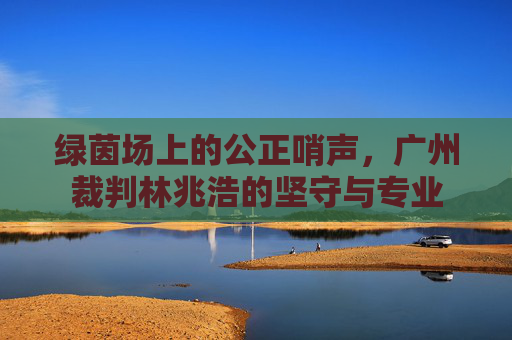 绿茵场上的公正哨声，广州裁判林兆浩的坚守与专业