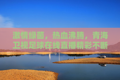 激情绿茵,热血沸腾,青海卫视足球在线直播精彩不断
