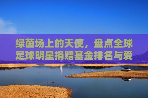 绿茵场上的天使,盘点全球足球明星捐赠基金排名与爱心故事