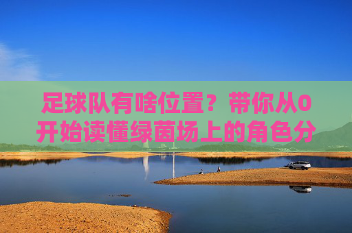 足球队有啥位置？带你从0开始读懂绿茵场上的角色分配