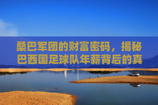 桑巴军团的财富密码,揭秘巴西国足球队年薪背后的真相