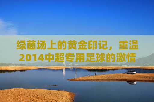 绿茵场上的黄金印记，重温2014中超专用足球的激情岁月