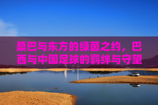 桑巴与东方的绿茵之约,巴西与中国足球的羁绊与守望