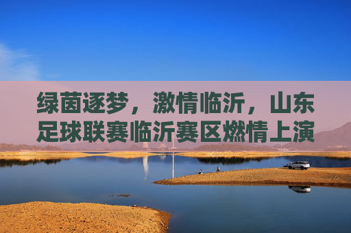 绿茵逐梦,激情临沂,山东足球联赛临沂赛区燃情上演