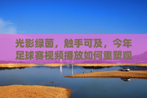 光影绿茵,触手可及,今年足球赛视频播放如何重塑观赛体验