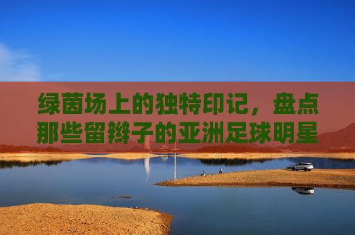 绿茵场上的独特印记,盘点那些留辫子的亚洲足球明星