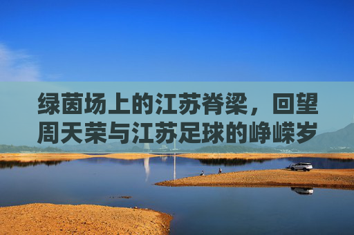 绿茵场上的江苏脊梁,回望周天荣与江苏足球的峥嵘岁月