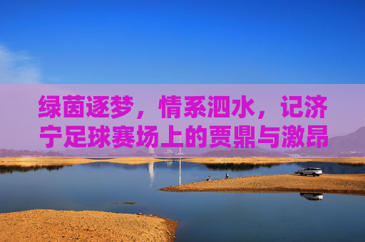绿茵逐梦,情系泗水,记济宁足球赛场上的贾鼎与激昂比赛