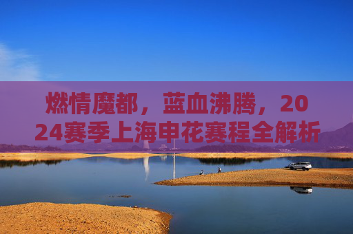 燃情魔都,蓝血沸腾,2024赛季上海申花赛程全解析与观赛指南