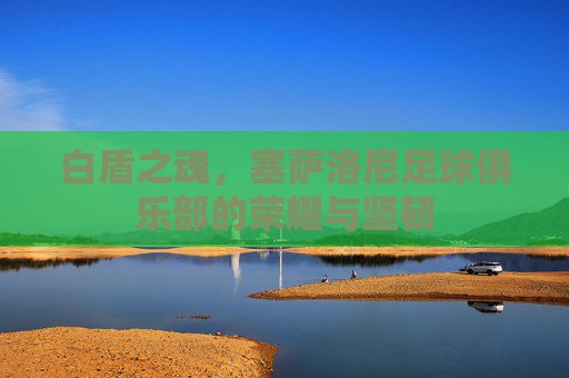 白盾之魂，塞萨洛尼足球俱乐部的荣耀与坚韧