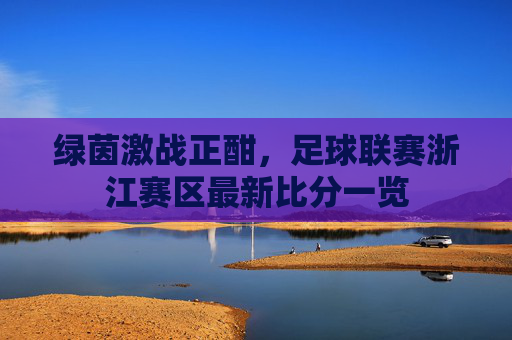 绿茵激战正酣,足球联赛浙江赛区最新比分一览