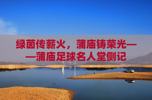 绿茵传薪火,蒲庙铸荣光——蒲庙足球名人堂侧记