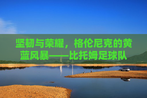 坚韧与荣耀，格伦尼克的黄蓝风暴——比托姆足球队