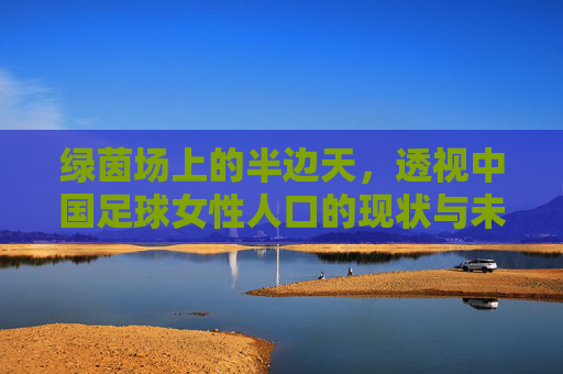 绿茵场上的半边天,透视中国足球女性人口的现状与未来