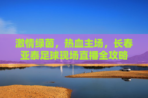 激情绿茵,热血主场,长春亚泰足球现场直播全攻略