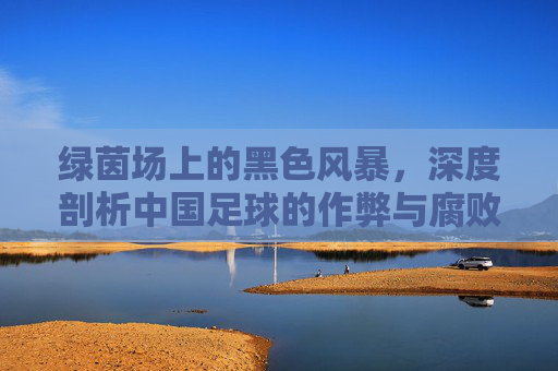 绿茵场上的黑色风暴，深度剖析中国足球的作弊与腐败乱象